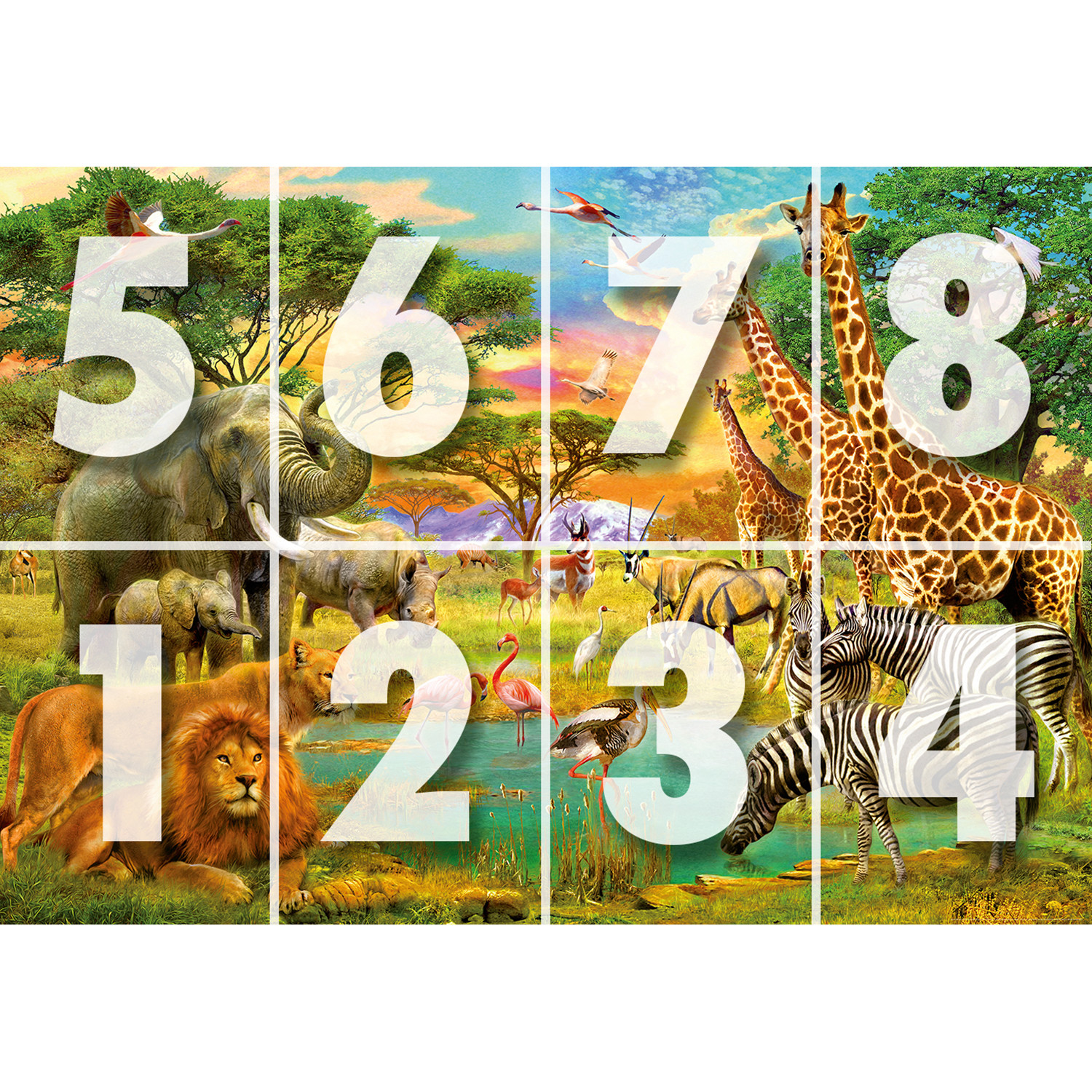 safari oasis code