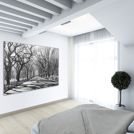 Peaceful Winter Walk