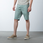 Landyn Printed Short // Seafoam (36)