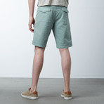 Landyn Printed Short // Seafoam (36)