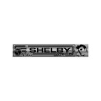 Elvis Presley // 1965 Shelby Cobra 1:18 // Die-Cast Car // Premium Display