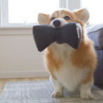 The Kena // Set of 2