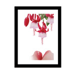 Fuchsia (9.5"W x 13"H)