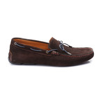 Princeton Shoe // Brown Suede (Euro: 42)