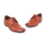 Ryan Shoes // Brown (Euro: 45)