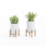 Blythe Plant Stand