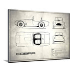 AC Cobra // White (16"W x 12"H x 2"D)