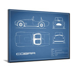 Cobra // Blue (16"W x 12"H x 2"D)