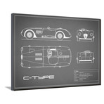 Jaguar C-Type // Gray (16"W x 12"H x 2"D)