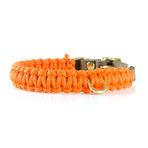 Touch of Leather Collar // Pumpkin (X-Small (Neck Size: 9.5" - 11"))