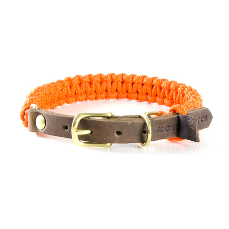 Touch of Leather Collar // Pumpkin (X-Small (Neck Size: 9.5" - 11"))