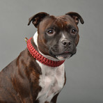 Touch of Leather Collar // Redwine (X-Small (Neck Size: 9.5" - 11"))