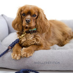 Touch of Leather Leash // Navy (Small (Length: 55", Width: 0.24"))
