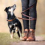 Butter Adjustable Leash (Small (Length 55", Width: 0.4"))