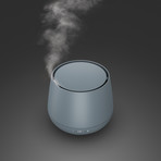 Julia Diffuser Metal