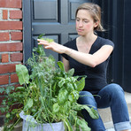 GYO Herbs // Seedsheet + Garden Container