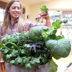 GYO Tacos // Seedsheet + Garden Container