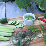 GYO Pickle // Seedsheet + Garden Container