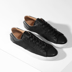 Fenix // Eclipse (Euro: 41)