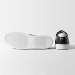 Fenix // Eclipse (Euro: 41)