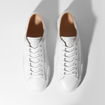 Fenix // Ivory (Euro: 36)