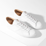 Fenix // Ivory (Euro: 36)