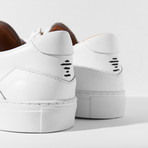 Fenix // Ivory (Euro: 36)