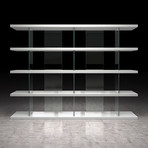 Beekman Bookcase // Glossy Cathedral Ebony