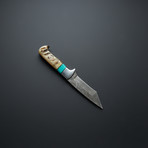 Turquoise Stone + Sheep Horn Tanto Knife