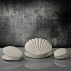White Shells