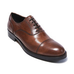 Toe Cap Oxford II // Brown (Euro: 46)