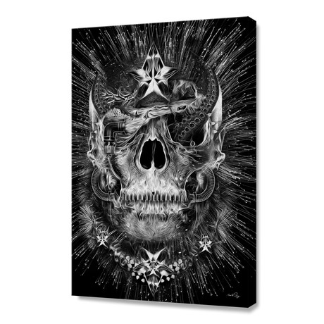 Fantasmagorik Skull 4 (16"W x 24"H x 1.5"D)