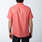 Short-Sleeve Modern Fit Shirt // Spice Coral (XL)