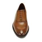 Lewis Oxford // Tan (Euro: 39)