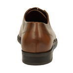 Lewis Oxford // Tan (Euro: 44)