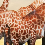 Giraffes