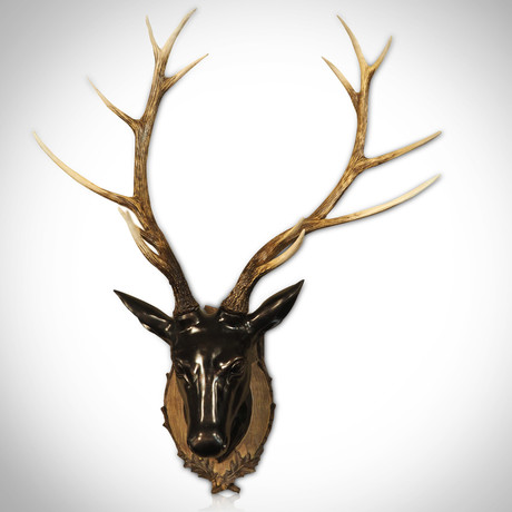 Deer Head // Folk Art Mall Mount
