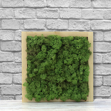 Wall Moss // Leaf Green