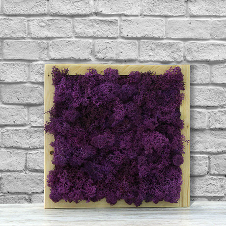 Wall Moss // Purple