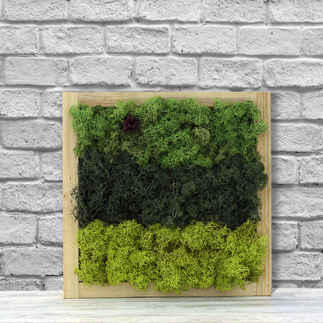 Wall Moss // All Green