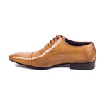 Valerio Leather Oxford // Cognac (Euro: 44)