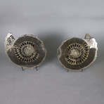 Pyritized Ammonite Pair