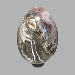 Huge Ocean Jasper Egg Sculpture