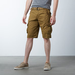 Solid Shorts // Brown (38)