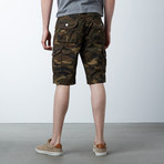 Solid Shorts // Brown Camo (38)