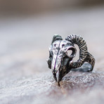Animal Collection // Ram Skull Ring // Silver (12)