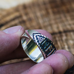 Vegvisir + Hail Odin Runes Ring (10)