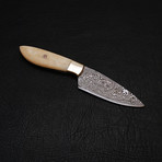 Damascus Chef Knife // 9172