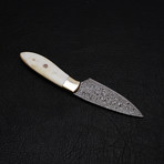 Damascus Chef Knife // 9172