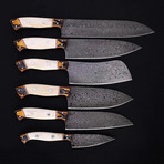 Professional Chef Knife // 6 Piece Set // 9196